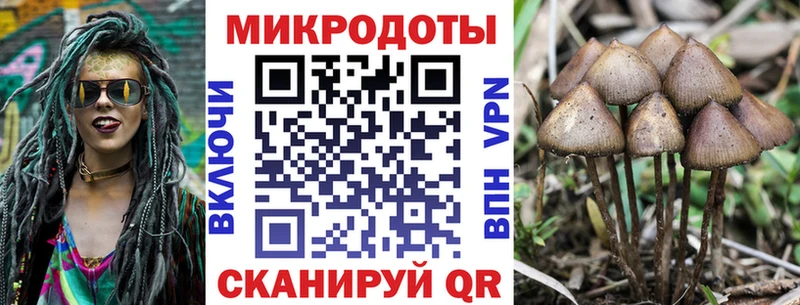 Купить где  Севастополь  Галлюциногенные грибы MAGIC MUSHROOMS 